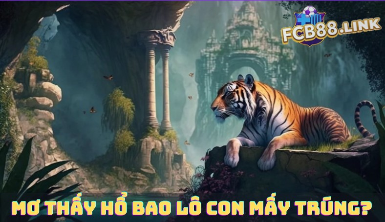 Mơ thấy hổ bao lô con mấy trúng?