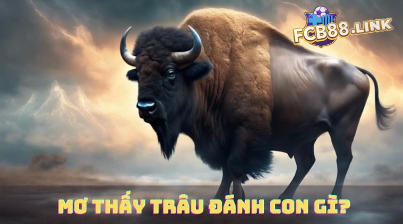 Mơ thấy trâu đánh con gì hên hôm nay?
