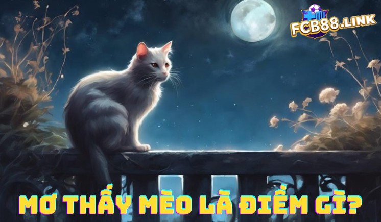 Giấc mơ thấy mèo là điềm gì trong tâm linh?