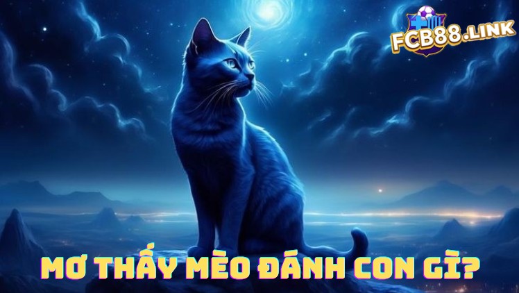 Mơ thấy mèo đánh con gì?